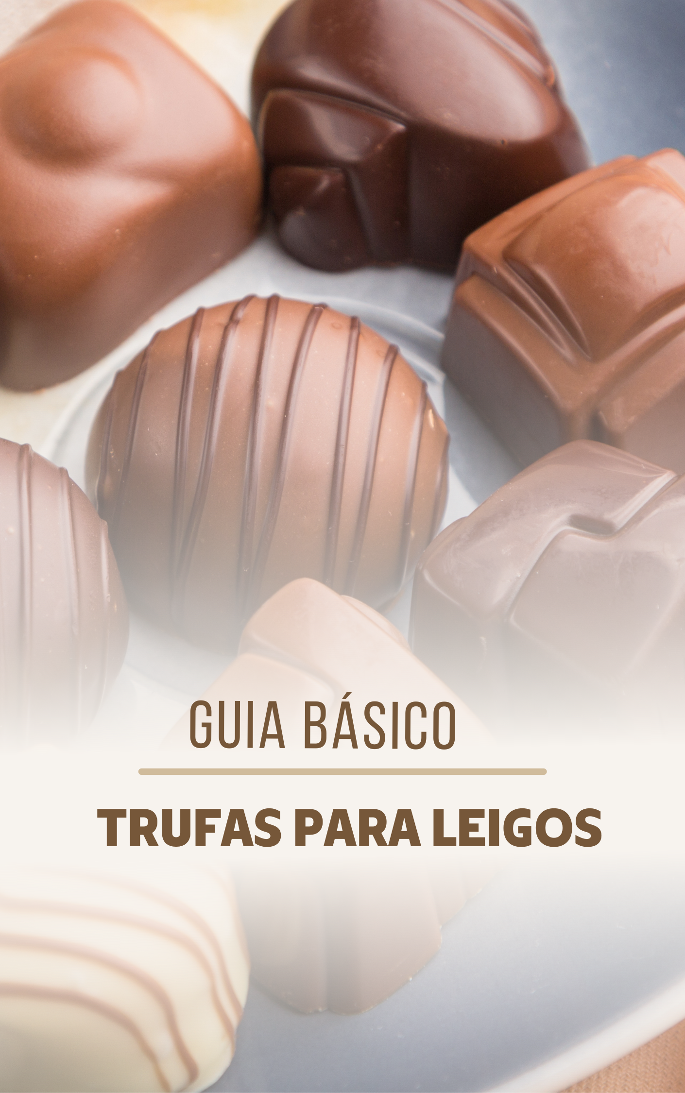 capa PLR trufas lucrativas